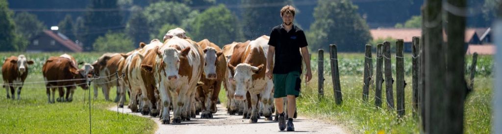 poppei ueber uns mobiler stall